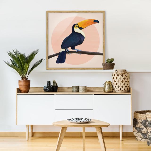 Gerahmtes Poster Illustration Bird Toucan Pastel Sansibar Home Rahmenauswahl: Brauner Rahmen on Productcaster.