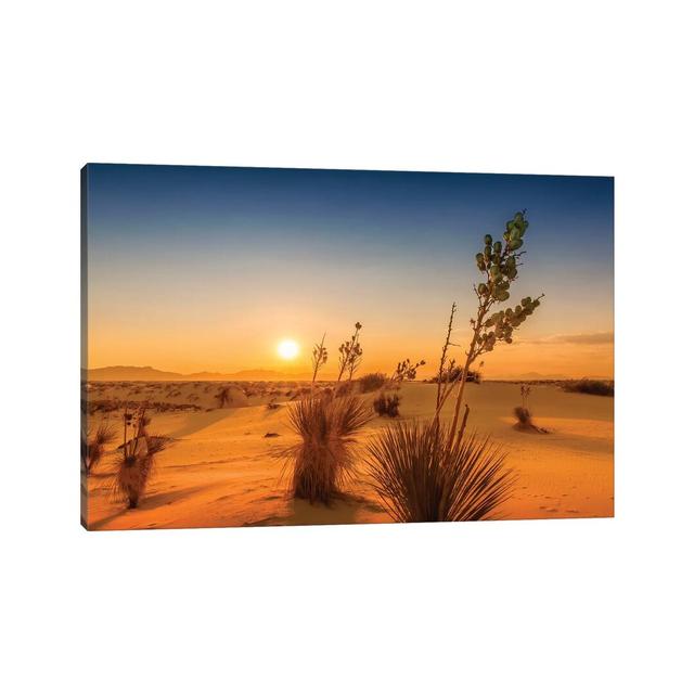 White Sands Sunset Impression House of Hampton Size: 30.48cm H x 45.72cm W x 1.905cm D on Productcaster.