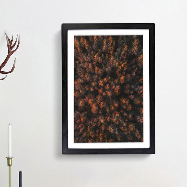 Autumn Forest in Bloom - Picture Frame Painting Print East Urban Home Frame Option: Black Framed, Size: 33cm H x 24cm W x 2cm D on Productcaster.