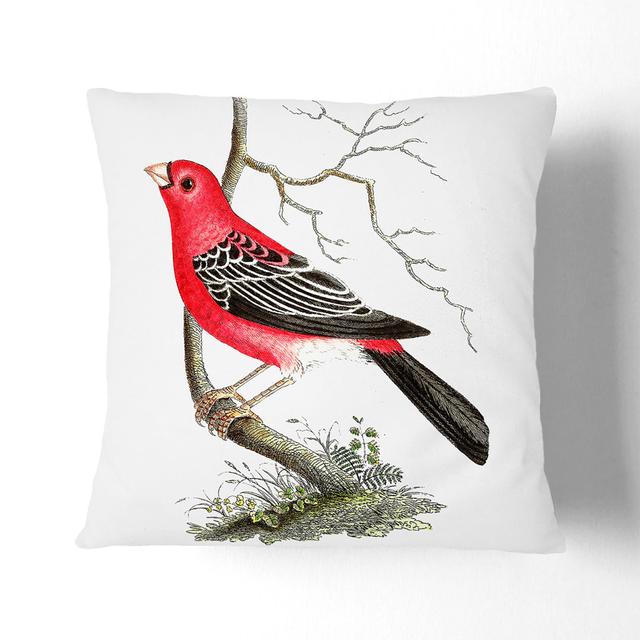 Greater Bulfinch Bird by George Shaw Cushion with Filling East Urban Home Size: 55cm H x 55cm W x 20cm D on Productcaster.