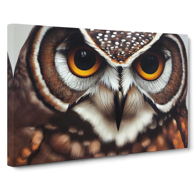 Unimaginable Owl - Wrapped Canvas Photograph Alpen Home Size: 40cm H x 60cm W x 3cm D on Productcaster.