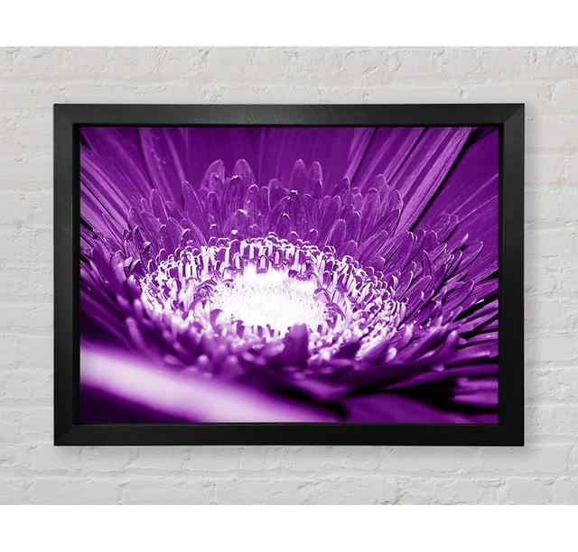 Daisy Centre Purple - Single Picture Frame Print on Canvas August Grove Size: 84.1cm H x 118.9cm W x 3.4cm D, Format: Black Framed Paper on Productcaster.