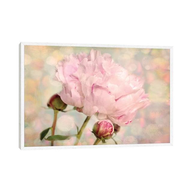 Pink Peony Fleur De Lis Living Format: White Framed, Size: 45.72cm H x 66.04cm W x 3.81cm D on Productcaster.