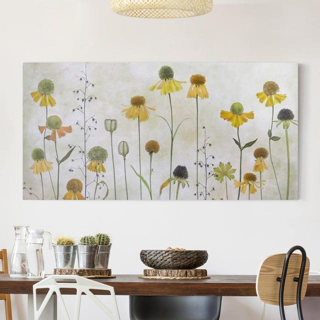 Leinwandbild Zarte Helenium Blüten Ebern Designs Rahmenart: Creme/Beige, Größe: 30 cm H x 60 cm B, Format: 330g/m³ Recycle Canvas on Productcaster.