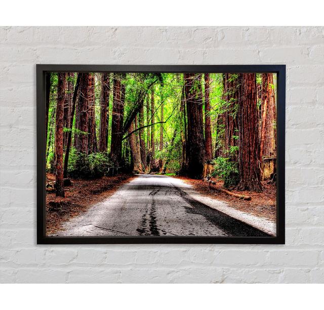 Green Forest Road Framed Print Bright Star Size: 100cm H x 141.4cm W on Productcaster.