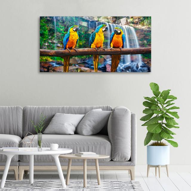 Parrots on the Branch - Unframed Art Prints on Canvas Pergo Classics on Productcaster.