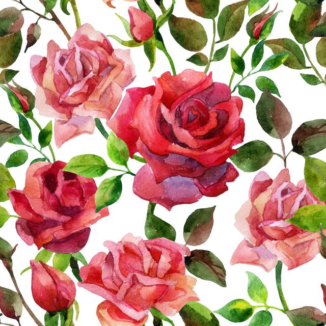 Sedley Red Roses by Tanya Syrytsyna - Wrapped Canvas Painting ClassicLiving Size: 76cm H x 76cm W x 3.8cm D on Productcaster.