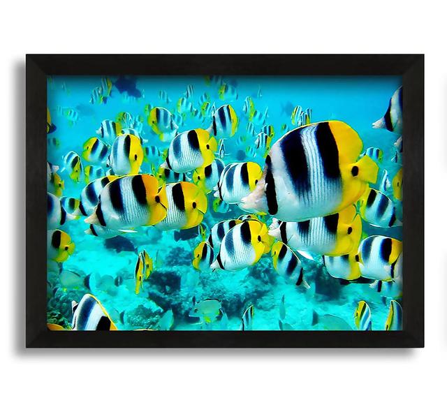 Fish Fury Framed Print House of Hampton Size: 60cm H x 84cm W x 10cm D on Productcaster.