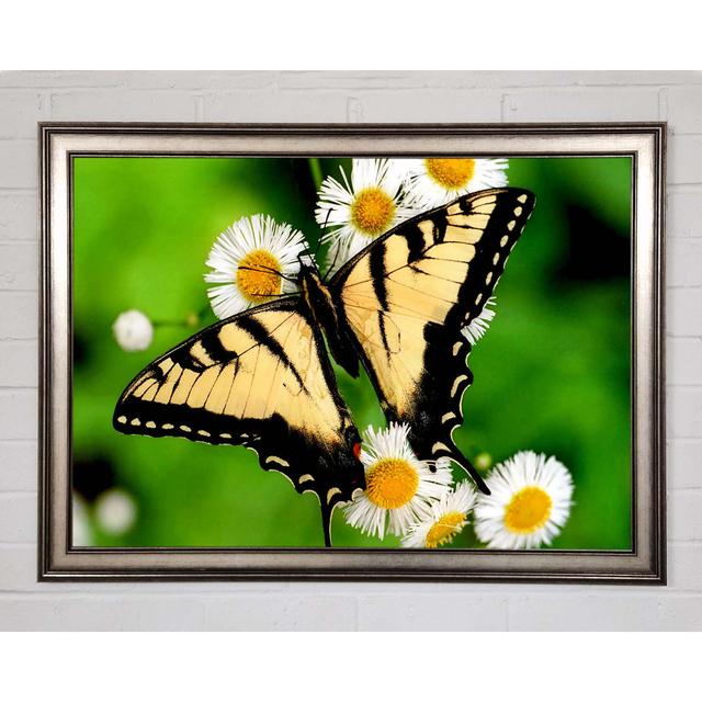 Yellow Butterfly - Print August Grove Size: 84.1cm H x 118.9cm W x 1.5cm D, Format: Matte Black Framed Paper on Productcaster.