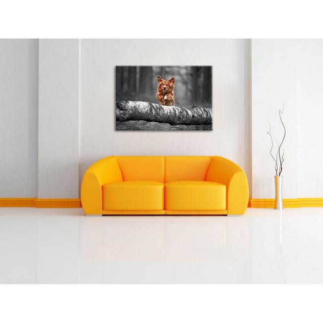 Leinwandbild Dog Jumping over Log in Forest Marlow Home Co. Größe: 70 cm H x 100 cm B x 1,8 cm T on Productcaster.