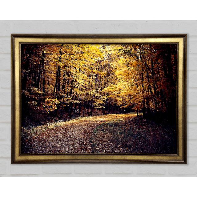 Forest Road - Single Picture Frame Art Prints Union Rustic Size: 59.7cm H x 84.1cm W x 1.5cm D on Productcaster.