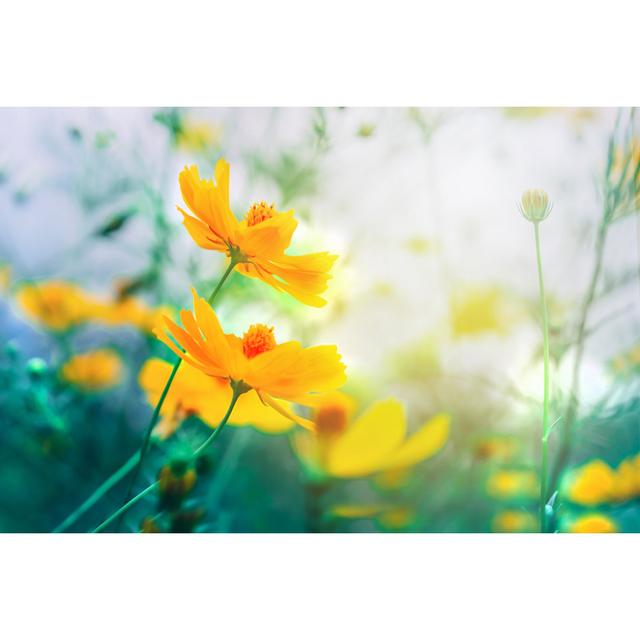 Beautiful Yellow Flower Field Blooming in Soft Vintage Tone by Doucefleur - Wrapped Canvas Photograph Ebern Designs Size: 50.8cm H x 76.2cm W on Productcaster.