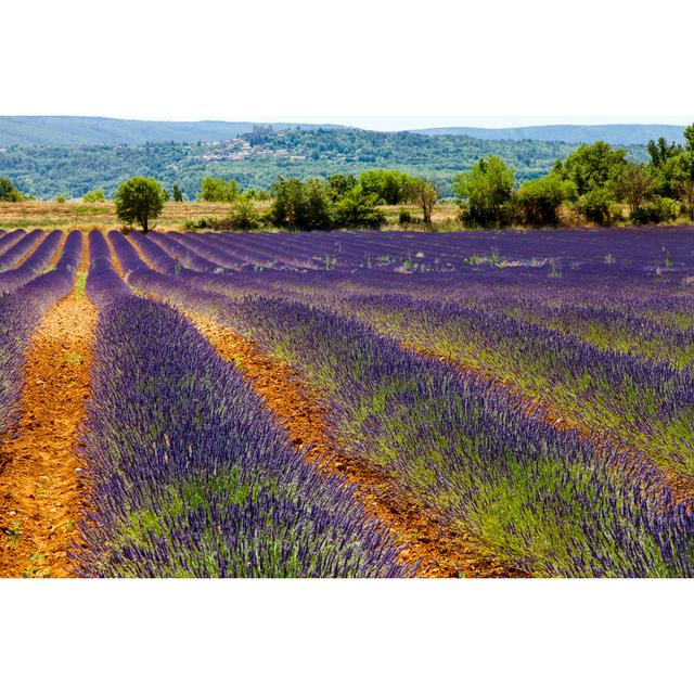 Lavender Fields by Davidforeman - Wrapped Canvas Photograph 17 Stories Size: 61cm H x 91cm W on Productcaster.