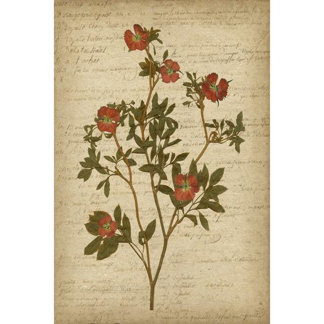 Romantic Pressed Flowers I - Wrapped Canvas Art Prints Brambly Cottage Size: 76cm H x 51cm W on Productcaster.