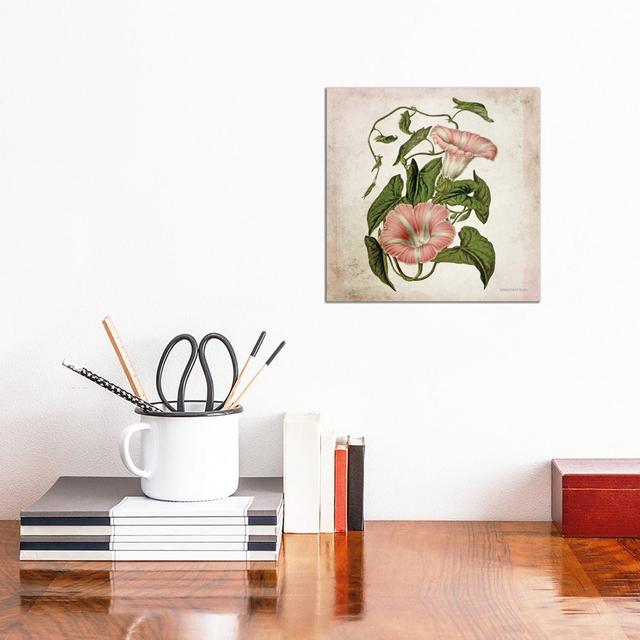 Vintage Trumpet Vine by Bluebird Barn - Wrapped Canvas Print Rosalind Wheeler Size: 30.48cm H x 30.48cm W x 1.91cm D on Productcaster.