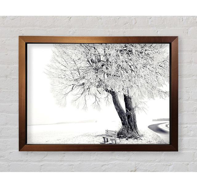 Bench Under Tree Winter - Print Ebern Designs Size: 100cm H x 141.4cm W x 3.4cm D on Productcaster.