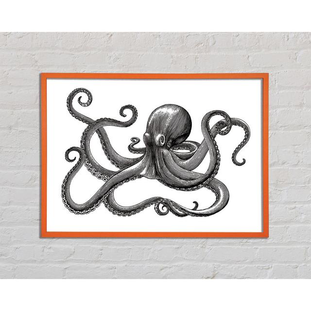 Octopus Illustration - Single Picture Frame Art Prints Ophelia & Co. Size: 21cm H x 29.7cm W on Productcaster.