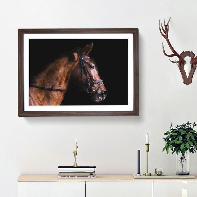 Horse Portrait - Picture Frame Painting Print East Urban Home Frame Option: Walnut Framed, Size: 45cm H x 63cm W x 2cm D on Productcaster.