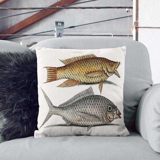 Hig Fish and Shad Fish by Mark Catesby Cushion with Filling East Urban Home Backing Colour: Stone, Size: 40cm H x 40cm W x 15cm D on Productcaster.