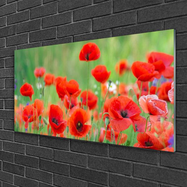 Poppies Floral - Unframed Photograph on Glass Brayden Studio on Productcaster.