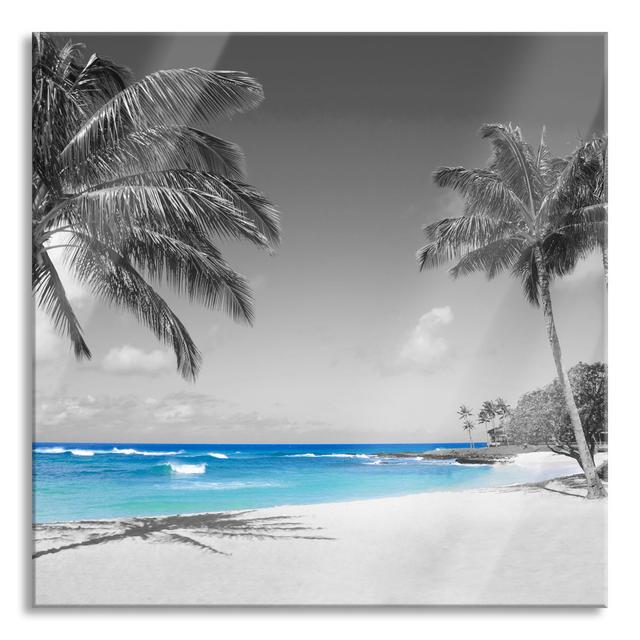 Beautiful Beach with Palm Trees Unframed Square Photograph on Glass Highland Dunes Size: 80cm H x 80cm W x 0.4cm D on Productcaster.