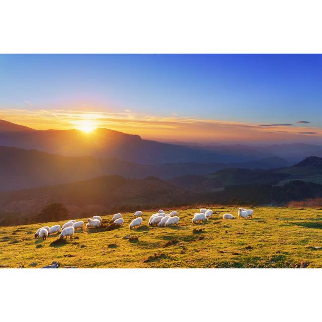 Flock of Sheep at Sunset by Mimadeo - Wrapped Canvas Art Prints Alpen Home Size: 30cm H x 46cm W 3.8cm D on Productcaster.