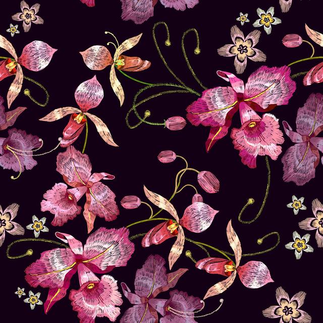 Beautiful Tropical Orchids Paradise Flower by Matriyoshka - Print Marlow Home Co. Size: 40cm H x 40cm W on Productcaster.