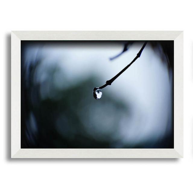 Naomie Singele Droplet on a Twig - Single Picture Frame Art Prints Latitude Run Size: 42cm H x 59.7cm W x 10cm D on Productcaster.