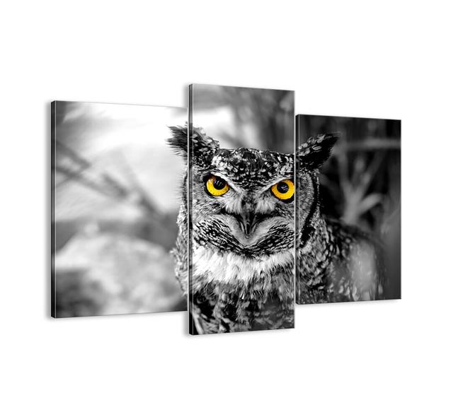 Nothing Will Hide - 3 Piece Unframed Photograph Print Set on Canvas Union Rustic Size: 100cm H x 130cm W x 1.8cm D on Productcaster.