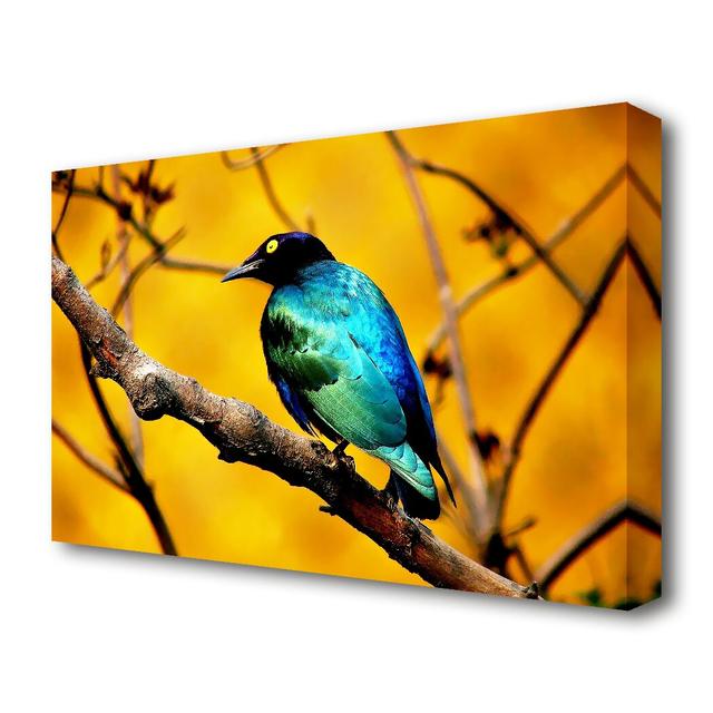 'Morning Bird Wildlife' Photographic Print on Canvas East Urban Home Size: 35.6 cm H x 50.8 cm W on Productcaster.