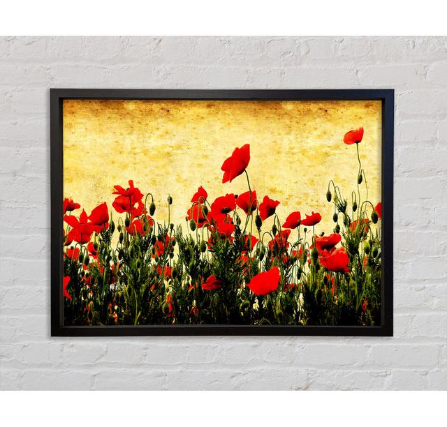 Poppy Field Golden Skys Framed Print Bright Star Size: 59.7cm H x 84.1cm W on Productcaster.