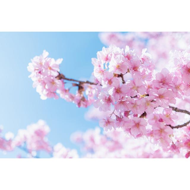 Kawazu Sakura by Fannrei - Wrapped Canvas Art Prints 17 Stories Size: 51cm H x 76cm W on Productcaster.