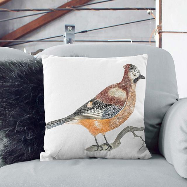 A Jay by Johan Teyler Cushion with Filling East Urban Home Size: 55 x 55 cm on Productcaster.