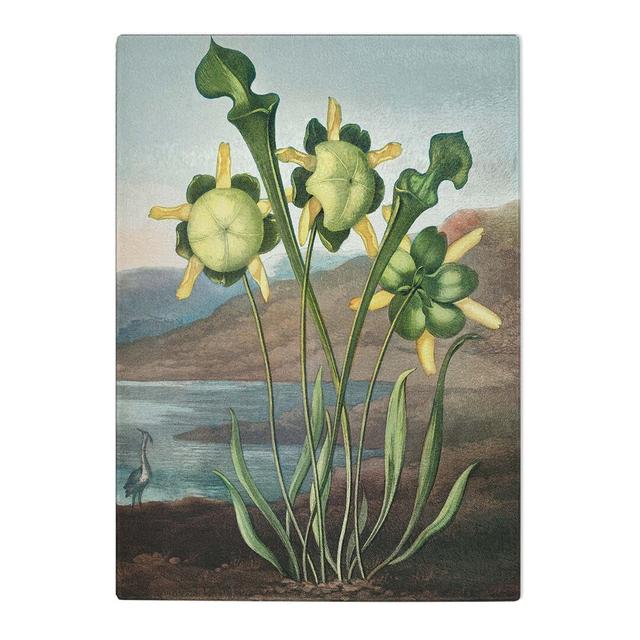 Tempered Glass Pitcher Plant by R.J. Thornton Chopping Board East Urban Home Size: 28.5 cm x 39 cm on Productcaster.