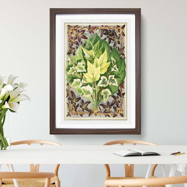 Ivy Leaves by Shirley Hibberd - Picture Frame Painting Print East Urban Home Format: Walnut Framed, Size: 87cm H x 62cm W x 2cm D on Productcaster.