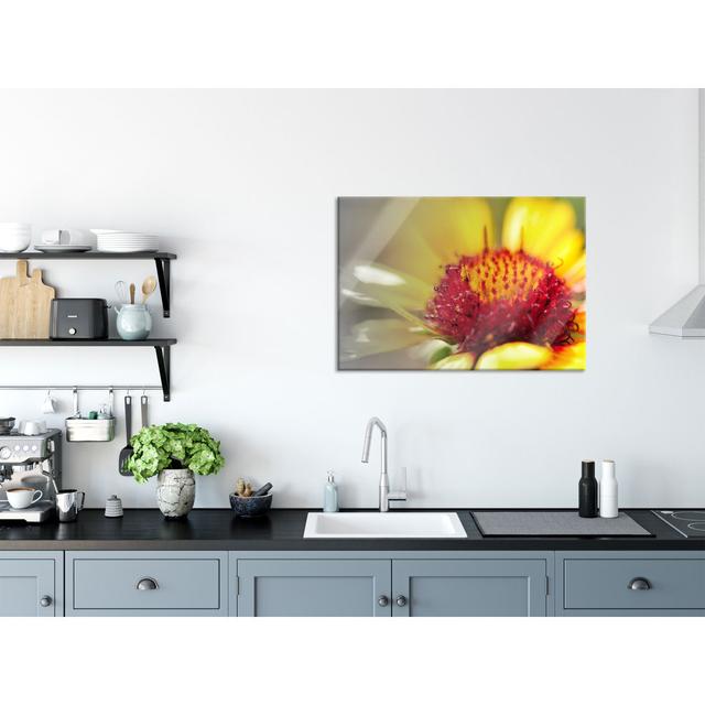 Bright Yellow Arnica Flower - Unframed Graphic Art on Glass Brayden Studio Size: 70cm H x 100cm W x 0.4cm D on Productcaster.