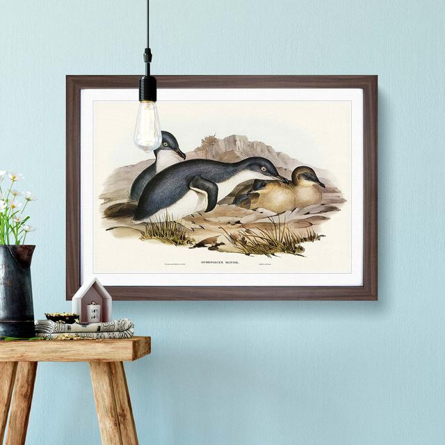 Little Penguins by Elizabeth Gould - Picture Frame Painting Print East Urban Home Size: 36cm H x 48cm W x 2cm D, Frame Option: Walnut Framed on Productcaster.