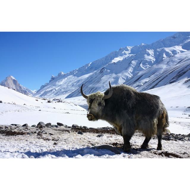 Yak In Snowy Himalayas Alpen Home Size: 20cm H x 30cm W 3.8cm D on Productcaster.