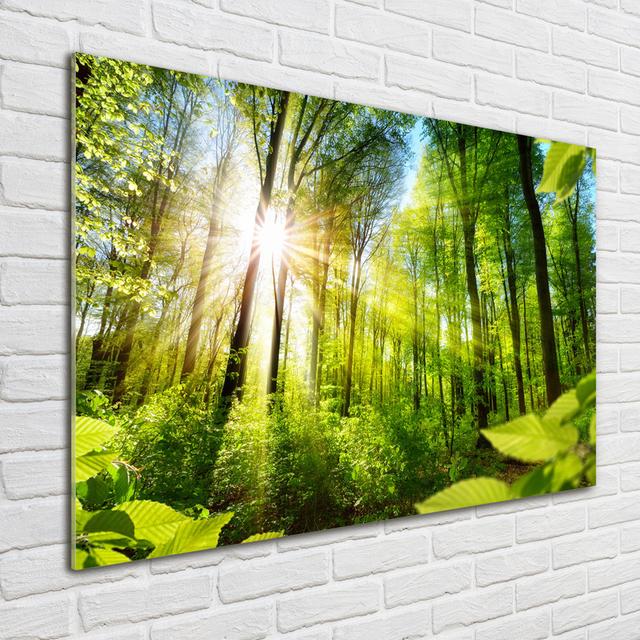 Glass Print Wall Art 100X70cm Image Printed On Glass Decorative Wall Picture Behind Toughened / Tempered Safety Real Glass For Kitchen & Living Room T on Productcaster.