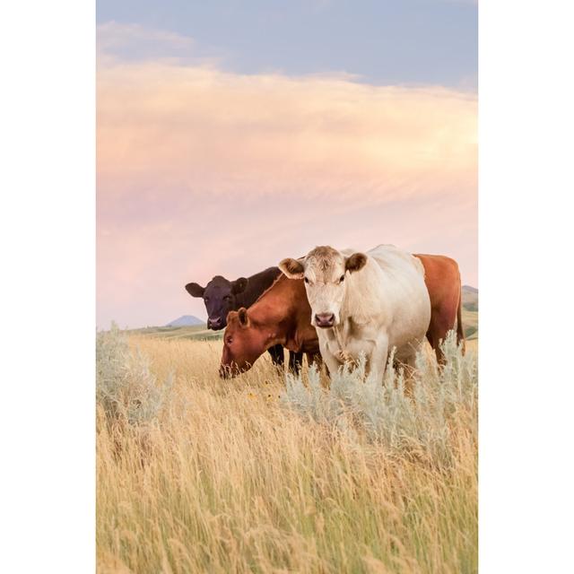 Three Cows by Debibishop - Wrapped Canvas Art Prints Brambly Cottage Size: 46cm H x 30cm W x 3.8cm D on Productcaster.