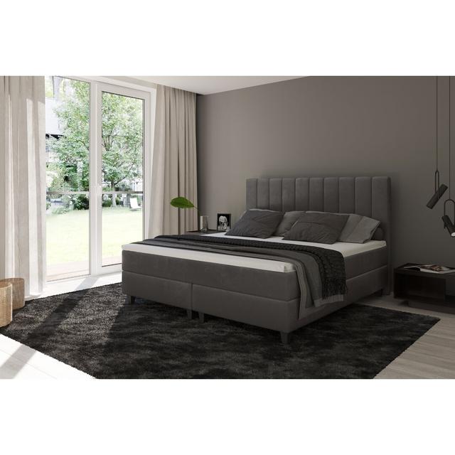 Echtes Boxspringbett Glendarious mit Kaltschaum Topper, mit Samtstoff bezogen Fairmont Park Farbe: Grau, Härtegrad der Matratze: H4 - ab ca. 100 kg, L on Productcaster.