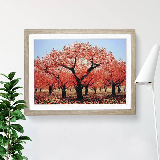 XH1022-7139X Pretty Apple Trees - Single Picture Frame Print Marlow Home Co. Size: 46cm H x 64cm W, Frame Colour: Brown on Productcaster.