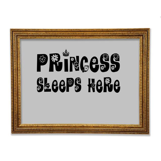 Princesss Sleeps Here Framed Print Happy Larry Colour: Grey, Size: 29.7cm H x 42cm W x 3cm D on Productcaster.