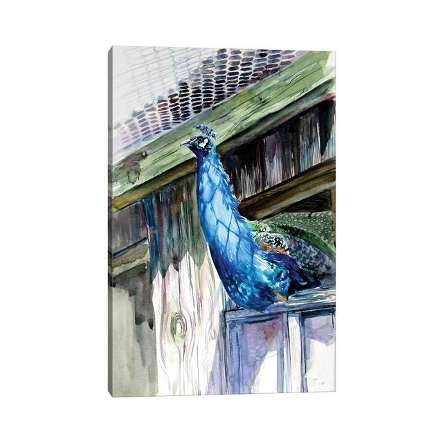 Peacock by Anna Brigitta Kovacs - Wrapped Canvas Print Latitude Vive Size: 30.48cm H x 20.32cm W x 1.905cm D on Productcaster.