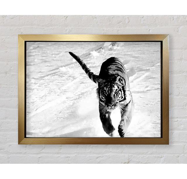 Tiger Running In Snow - Print Ebern Designs Size: 42cm H x 59.7cm W x 3.4cm D on Productcaster.