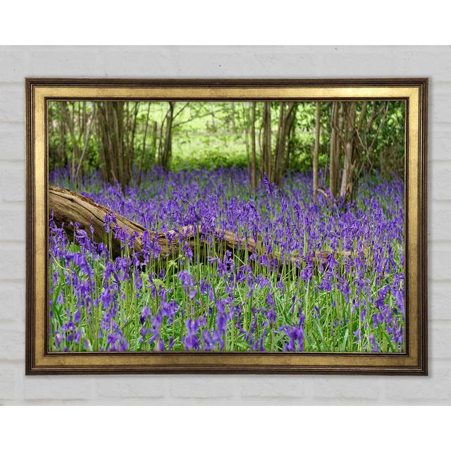 Purple Flowers In The Meadow - Single Picture Frame Art Prints Union Rustic Size: 29.7cm H x 42cm W x 1.5cm D on Productcaster.