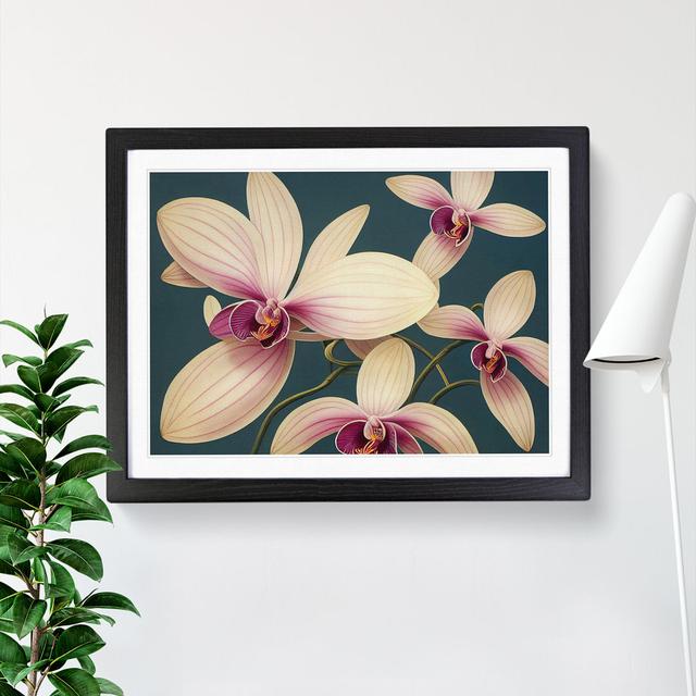 Wonderful Orchid Flowers - Single Picture Frame Painting Marlow Home Co. Size: 25cm H x 34cm W x 2cm D, Frame Colour: Black on Productcaster.