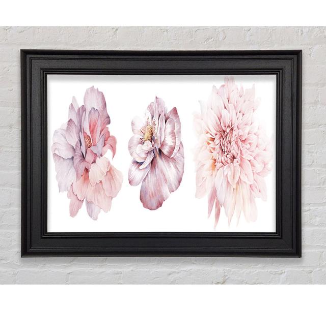 Three Pink Flower Beauty Framed Print Rosalind Wheeler Size: 42cm H x 59.7cm W on Productcaster.