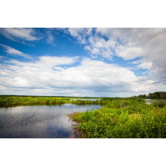 Freshwater Marsh by BeachcottagePhotography - Wrapped Canvas Print Marlow Home Co. Size: 81cm H x 122cm W on Productcaster.