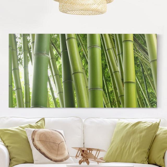 Bamboo Trees - Wrapped Canvas Photograph Bay Isle Home on Productcaster.